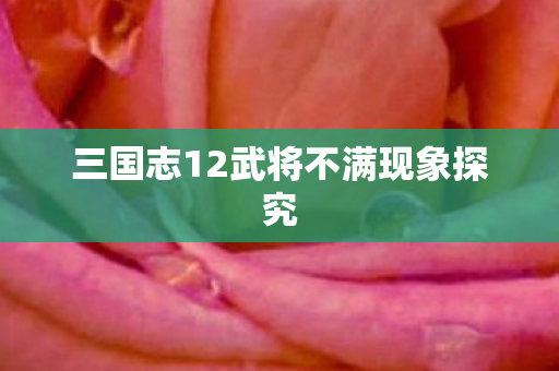 三国志12武将不满现象探究图片