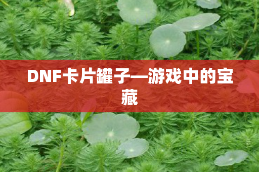 DNF卡片罐子图片