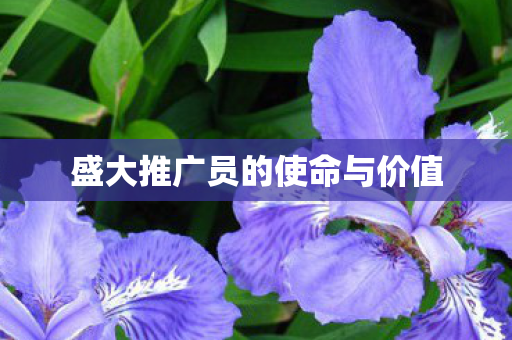 盛大推广员的使命与价值图片
