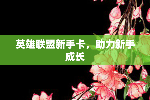 英雄联盟新手卡图片