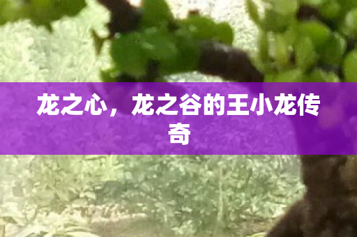 龙之谷的王小龙传奇图片