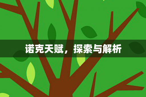 探索与解析图片