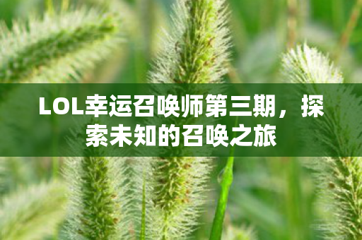LOL幸运召唤师第三期图片