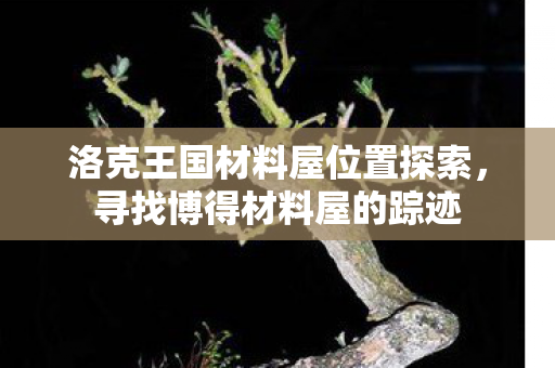 洛克王国材料屋位置探索图片