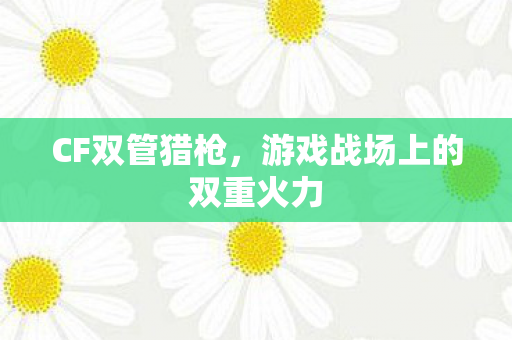 游戏战场上的双重火力图片
