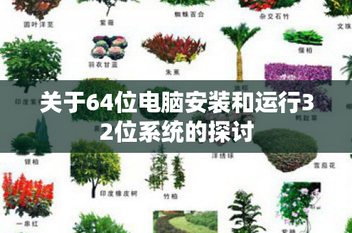 关于64位电脑安装和运行32位系统的探讨图片