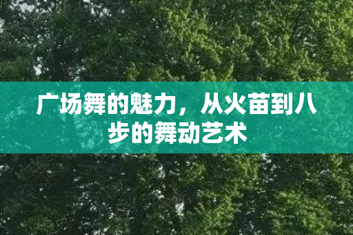 从火苗到八步的舞动艺术图片