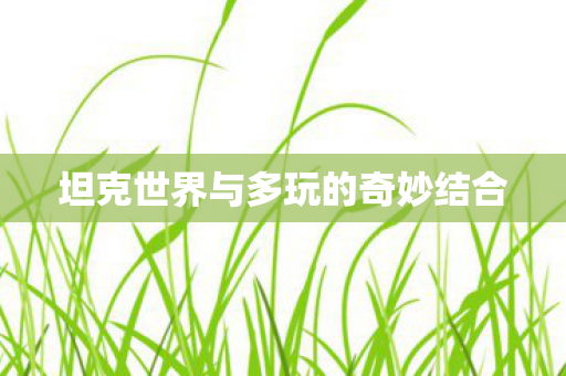 坦克世界与多玩的奇妙结合图片