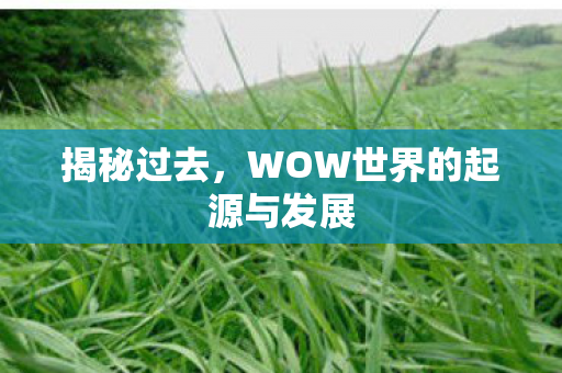 WOW世界的起源与发展图片