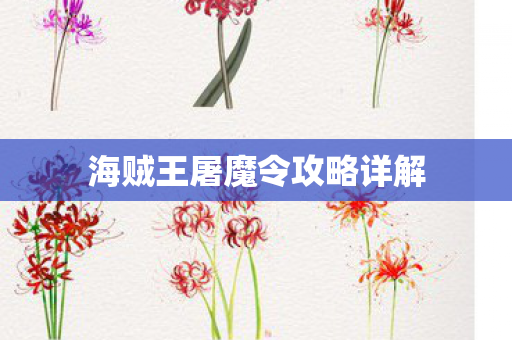 海贼王屠魔令攻略详解图片