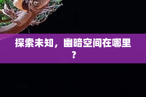 幽暗空间在哪里图片