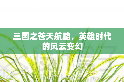 英雄时代的风云变幻图片