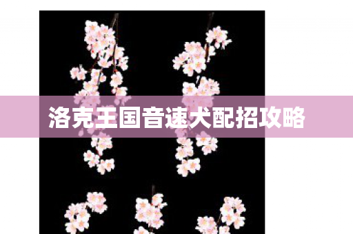 洛克王国音速犬配招攻略图片