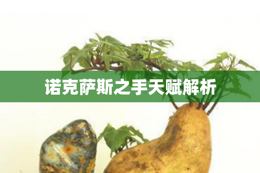 诺克萨斯之手天赋解析图片