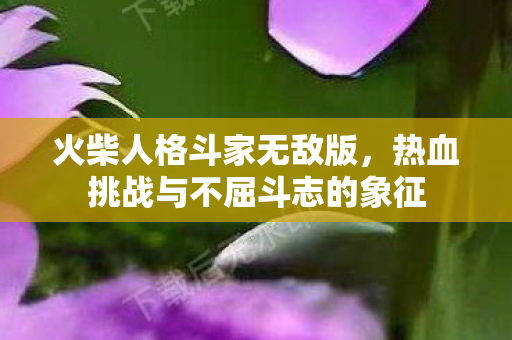 热血挑战与不屈斗志的象征图片
