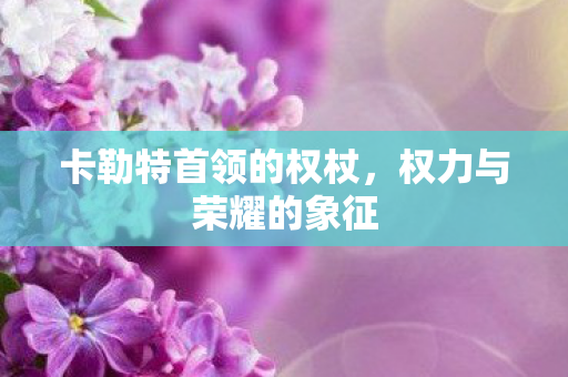 卡勒特首领的权杖图片