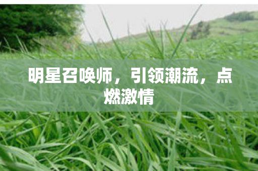 明星召唤师图片
