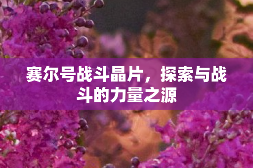 探索与战斗的力量之源图片