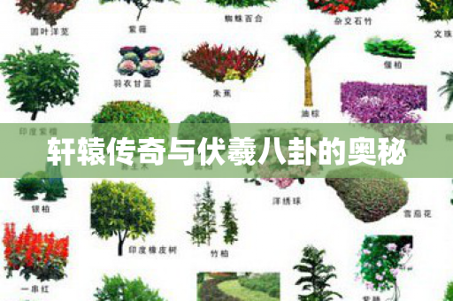 轩辕传奇与伏羲八卦的奥秘图片