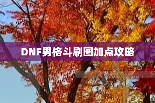 DNF男格斗刷图加点攻略图片