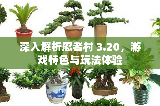 深入解析忍者村 3图片