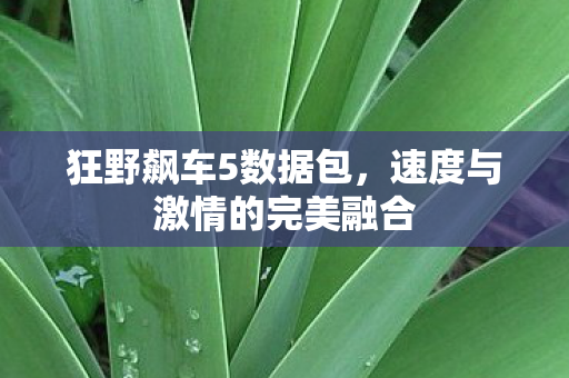 速度与激情的完美融合图片