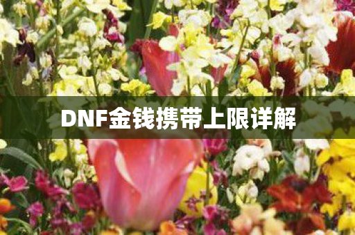 DNF金钱携带上限详解图片