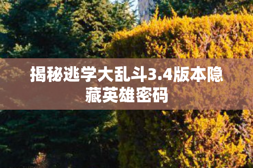 4版本隐藏英雄密码图片