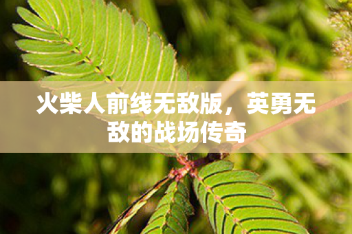 英勇无敌的战场传奇图片