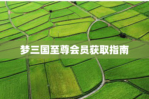 梦三国至尊会员获取指南图片