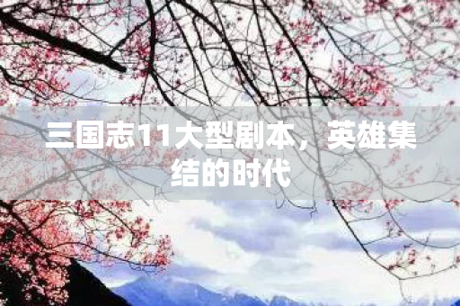 三国志11大型剧本图片
