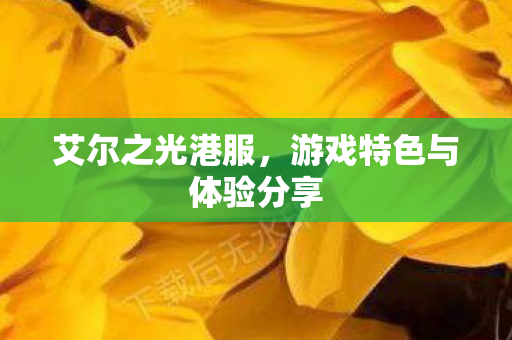 游戏特色与体验分享图片
