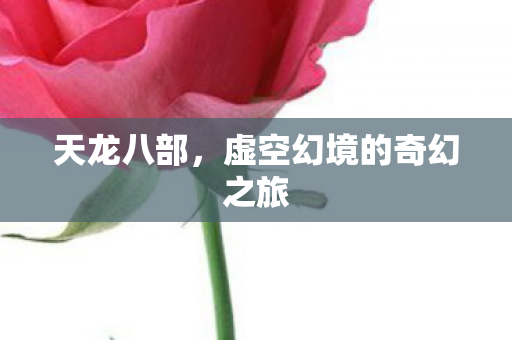 虚空幻境的奇幻之旅图片