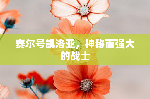 神秘而强大的战士图片