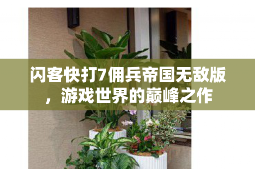 闪客快打7佣兵帝国无敌版图片