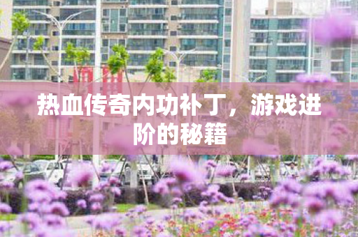热血传奇内功补丁图片