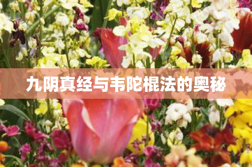 九阴真经与韦陀棍法的奥秘图片