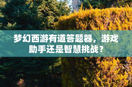 游戏助手还是智慧挑战图片