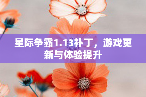 游戏更新与体验提升图片