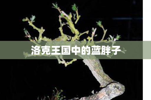 洛克王国中的蓝胖子图片