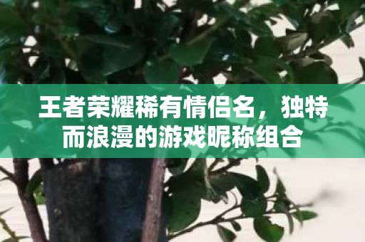 独特而浪漫的游戏昵称组合图片