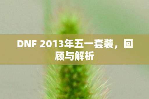 DNF 2013年五一套装图片