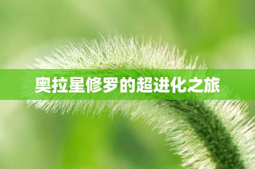 奥拉星修罗的超进化之旅图片