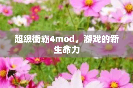 超级街霸4mod图片
