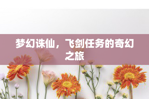飞剑任务的奇幻之旅图片
