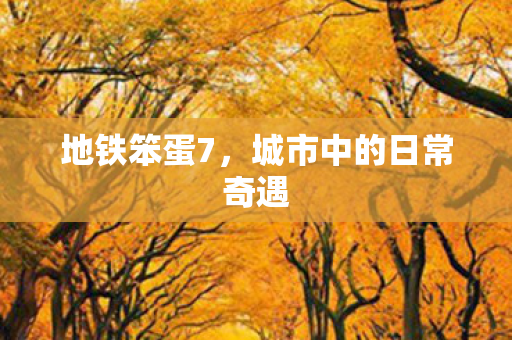 城市中的日常奇遇图片