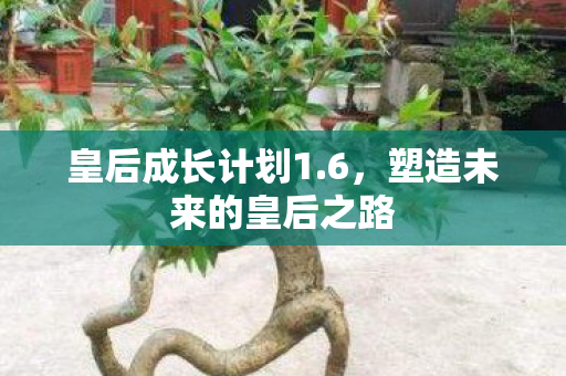 塑造未来的皇后之路图片