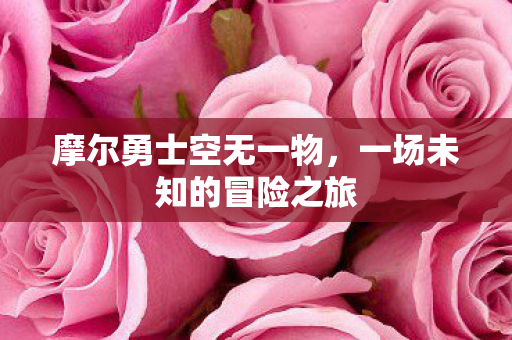 一场未知的冒险之旅图片