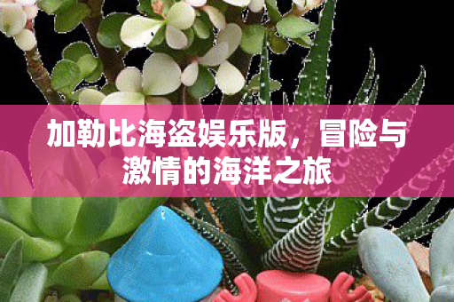 冒险与激情的海洋之旅图片