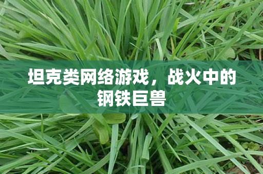 战火中的钢铁巨兽图片
